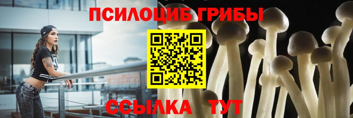Галлюциногенные грибы мухоморы Верхняя Пышма